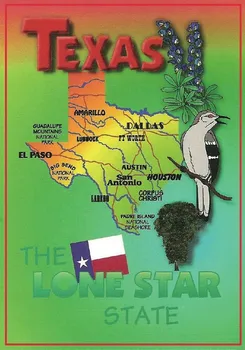 JAV Kelionės Magnetai Dovanos 78*54mm Suvienyti Narių Texas Žemėlapis Vintage atvirukai Šaldytuvas Magnetas 20022
